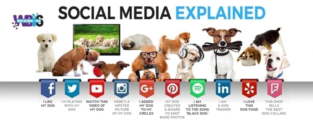 social media platforms