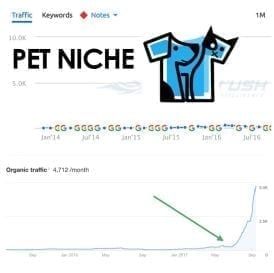 SEO Case Study for Pet Niche Website 7