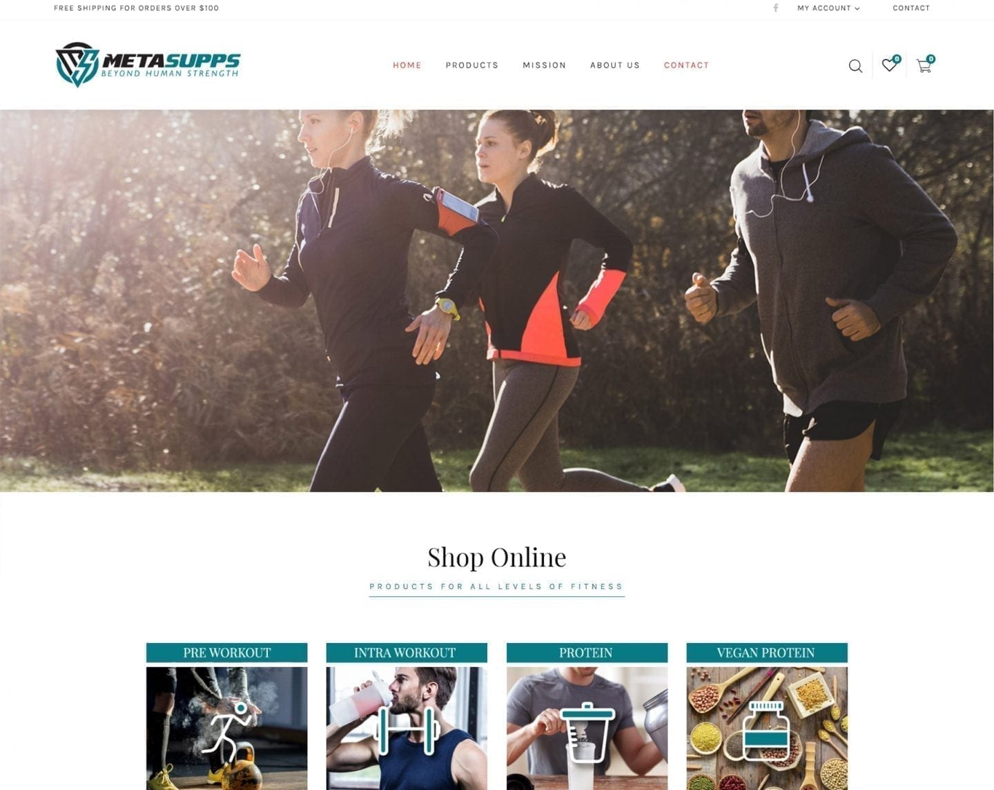 Web Design Services 4