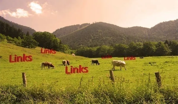 Link farm