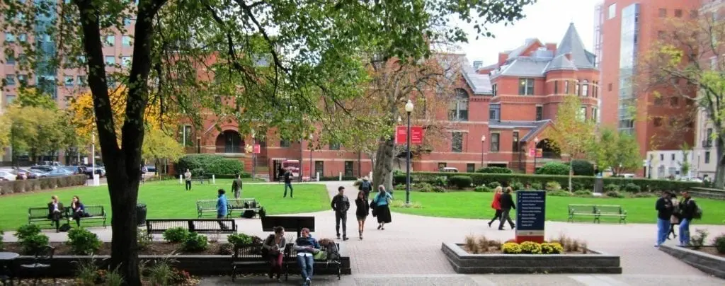 SEO for universities: