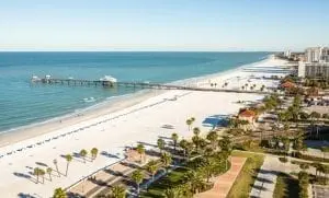 seo clearwater