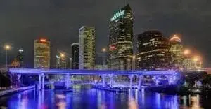 seo tampa